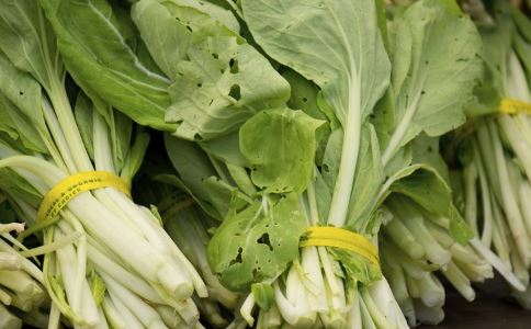 ����������������Щ ������ô���� ���˳��ٷ���